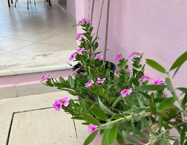 Olga-corfu Apartament *