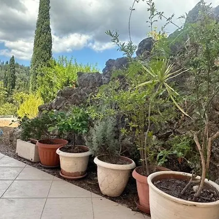 Olga-corfu Kynopiástai