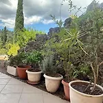 Olga-corfu Kynopiástai