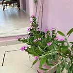 Olga-corfu Lejlighed *