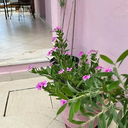 Olga-corfu Appartement *